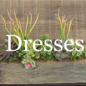 👗👗👗👗👗👗👗👗👗👗👗👗👗👗